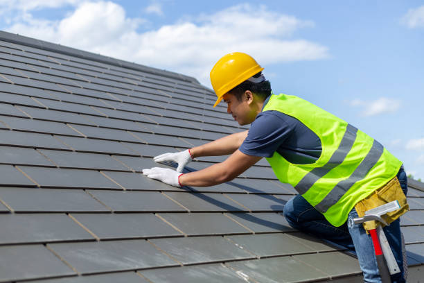 Best Roof Leak Repair  in Urania, LA