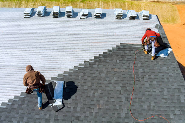 Best Roof Leak Repair  in Urania, LA