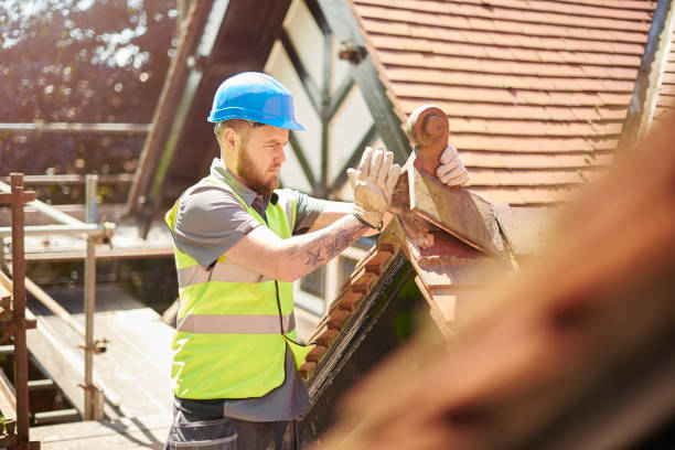 Best Roof Gutter Cleaning  in Urania, LA