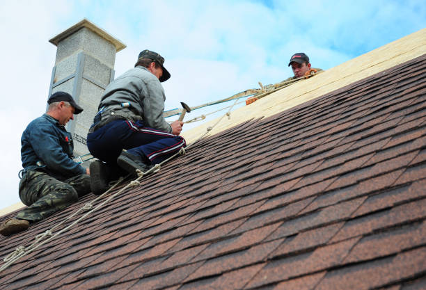 Professional Roofing Contractor in Urania, LA